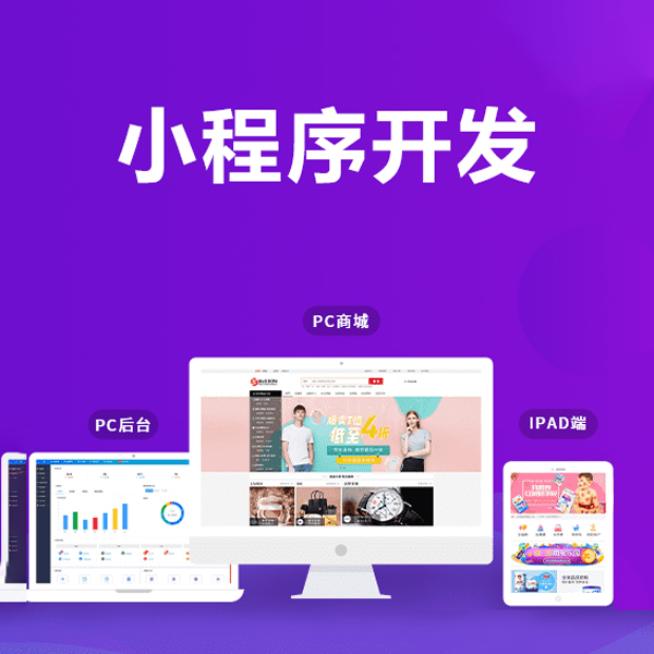 东莞南城小程序定制开发公司，app定制开发公司